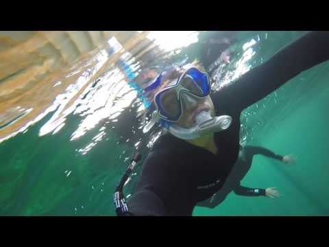 Snorkelen @ Duikcentrum Todi (Beringen)