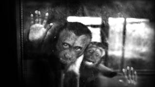 Mano Le Tough - Return To Yoz (Original Mix)