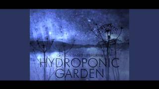 Carbon Based Lifeforms - Neurotransmitter (2015 24-bit Remaster)