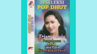 Download lagu Trisna Levia - Sejuta Luka mp3