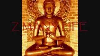 Cosmic Space Music ( Z Many  Life )