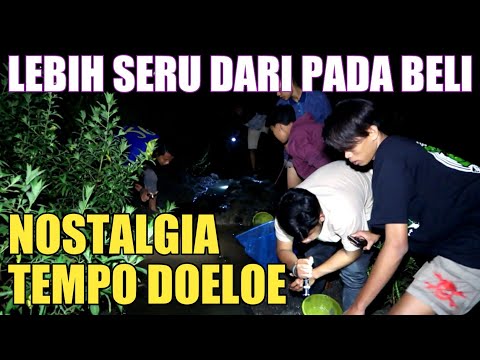 nyari-ikan-cupang-di-kubangan-tengah-malam-evlog-72