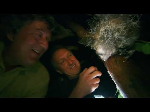 Last Chance to See ep5: Kakapo (2009)