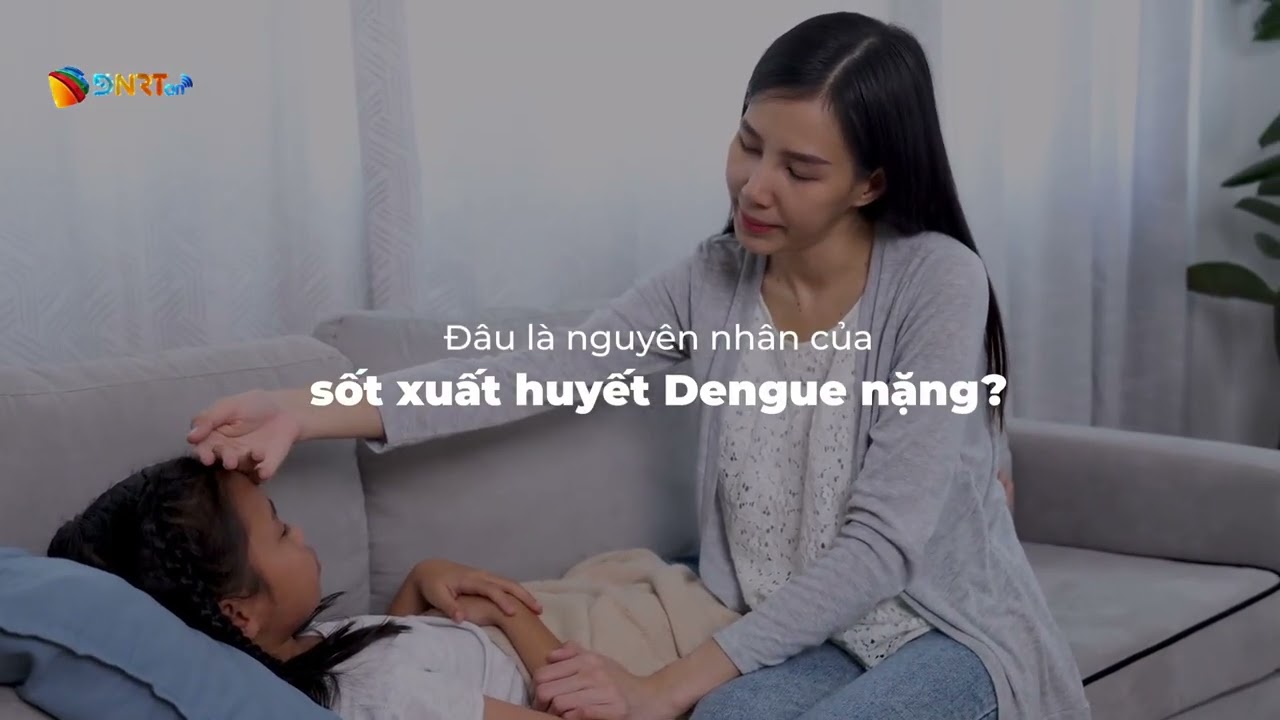 🚨 SỐT XUẤT HUYẾT DENGUE: NGUY CƠ KHÔNG THỂ XEM NHẸ, GÁNH NẶNG KHÔNG THỂ CHỦ QUAN
