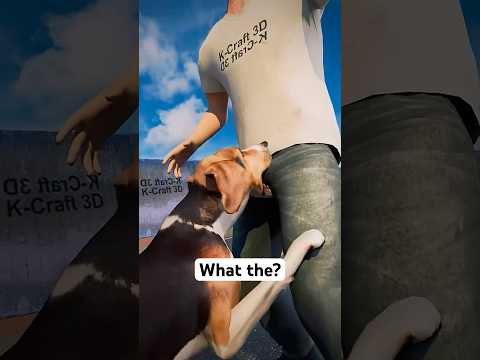 How to Survive a Dog Attack 😱  #shorts