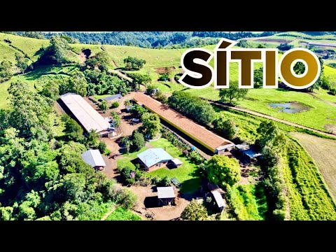 SÍTIO A VENDA EM SANTA CATARINA CASA AVIÁRIO FRUTAS EUCALIPTOS R$1.8MI