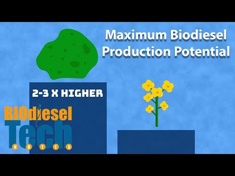 Maximum Potential Biodiesel Production-Tech Note 21 Snippet