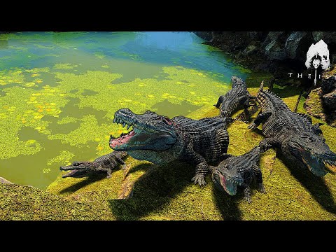 Dinossauro - O Deinosuchus virou Babá, Capturamos um Carnotauro Adulto  - The Isle Realismo (PT/BR)🦕