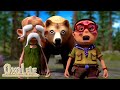 Oko Lele ✨ जानवरों - Animals ✨ बच्चों के लिए मज़ेदार कार्