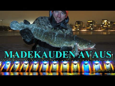 Merikoski Madepilkki - Madekauden avaus ja oma Oulu rekorttikala ( Oulu Cityfishing - Merikoski )