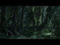 The Lord of the Rings: The Forest of Fangorn Ambience & Music