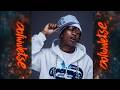 DJ Maphorisa Xduppy Bolwetse Official Audio Ft Angekebabuye MC Mluusician