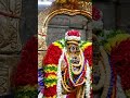 Sri Renganathar Swamy Srirangam Sarvam Nee Shorts