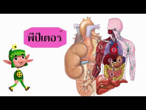 สูญญากาศความแรงเพิ่มขึ้น เพิ่มการซื้อสมาชิกขยาย