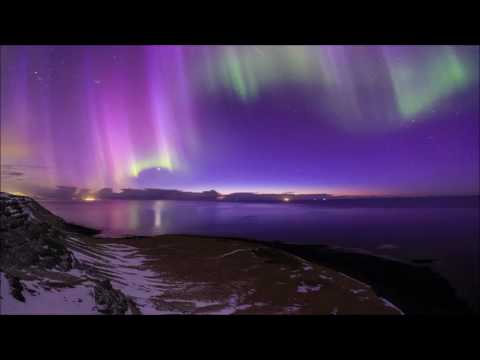 Nishan Lee: Bushwaka (Original Mix)