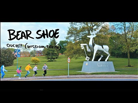 Bear Shoe - OUCH! (Wisdom Teeth) (Official Music Video)