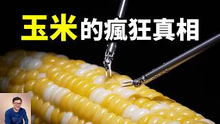 Re: [問卦] 櫛瓜 到底好吃在哪啊?