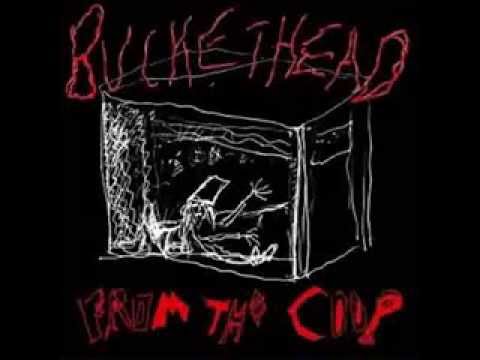 {Full Album] Buckethead - From The Coop