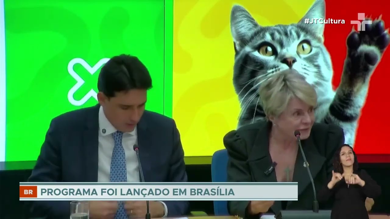 Plano  "PATA"  do governo visa proteger animais durante viagens de avião