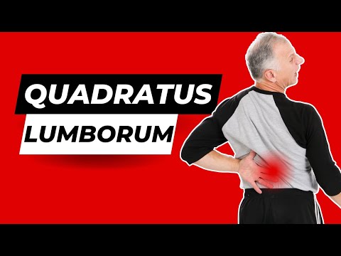 Quadratus Lumborum Stretch & Pain Relief (A Muscle in your Back)