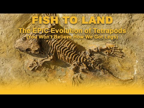 🚶‍♂️🌊 FISH TO LAND: The EPIC Evolution of Tetrapods (You Won't Believe How We Got Legs)