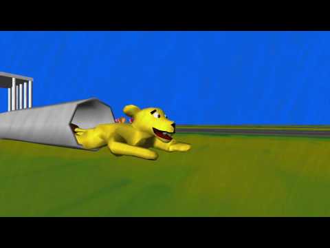 [18+] Wild Animal Racing ALL MOVIES