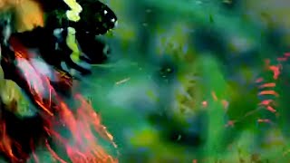 Raindrops (Official Video)