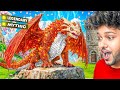 FINALLY I FOUND SECRET DRAGON TYPE ANIMO Aniimo Gameplay 5