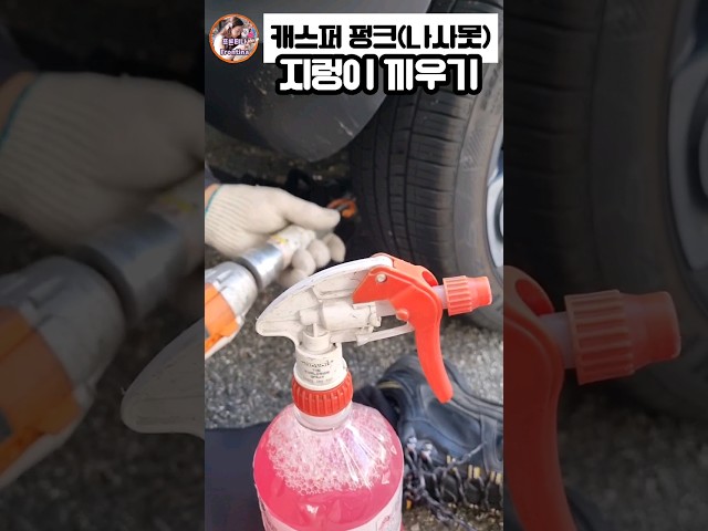 inbot seo 0.1ver