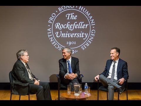 Stress and the City: The Overachiever Epidemic and When to Slow Down