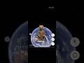 found Giant Bear on Google maps and Google Earth #AK Google Earth
