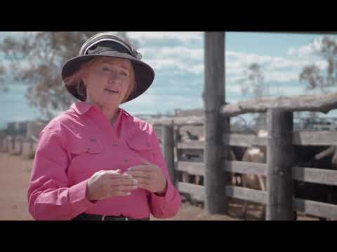 2019 MSA Excellence in Eating Quality Most Outstanding Qld Beef Producer - Kaylene Wonka, Chinchilla