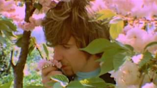 The Hollies - Marrakesh Express (2018 Mix)