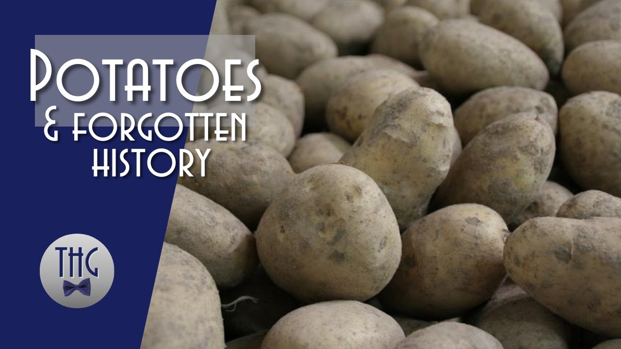 The 12 Best Documentaries About Potatoes