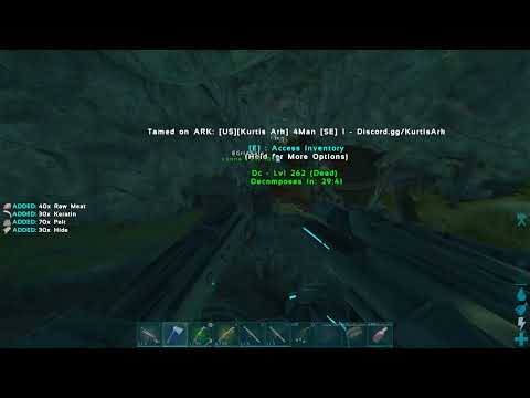 ARK  Survival Evolved pack cave maewing rocket run