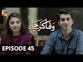 Wafa Kar Chalay Episode 45 HUM TV Drama 25 February 2020