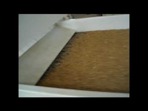 Automatic MS Grain Destoner Machine, Capacity: 1-4ton Per Hour