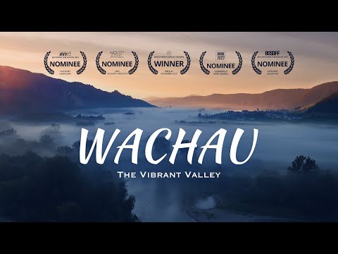 Wachau - The Vibrant Valley