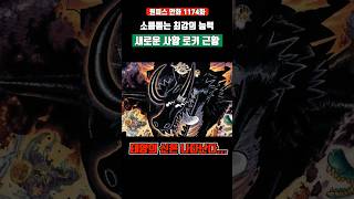 소름돋는 최강의 능력 새로운 사황 드래곤 로키 ㄷㄷ #원피스 #shorts