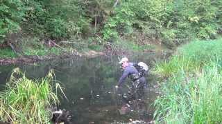 Воблер pontoon 21 greedy-guts 77f sr