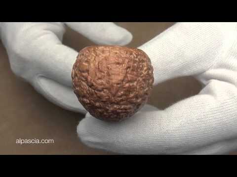 pipa Ascorti 501 - smoking pipe