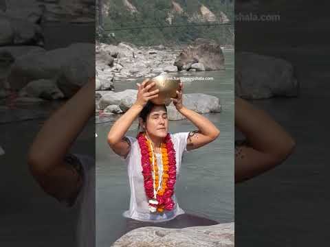 Haritha Yogshala short