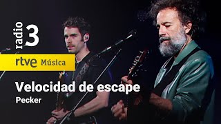 Velocidad De Escape Lyrics English Translation