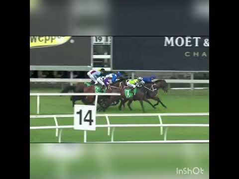 2019 - Chipping Norton Stakes - Winx world record group one wins!