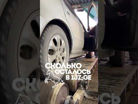 Заехал на диностенд к PolozDrive, чтобы узнать сколько сил осталось в моем моторе