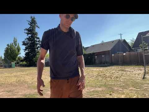 Form check 080323 no2