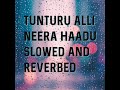 Tunturu Alli Neera Haadu Slowed And Reverbed