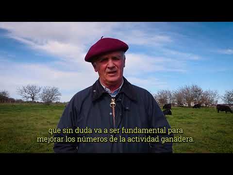 Alfonso Bustillo - Asociación Argentina de Angus