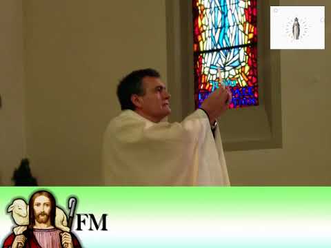 Homilía. San Joaquín y santa Ana, padres de la Virgen María. 26/07/18. P. Santiago Martín, FM