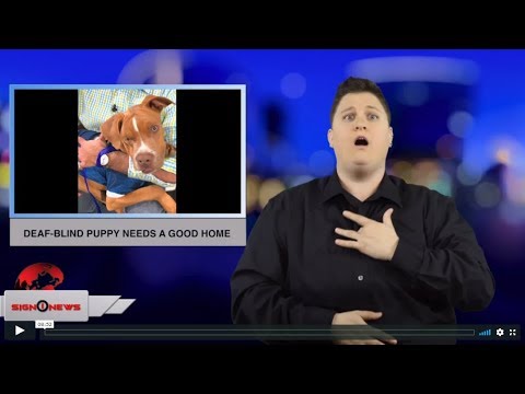 Sign1News 1.26.19 - News for the deaf community powered by CNN in American Sign Language (ASL).